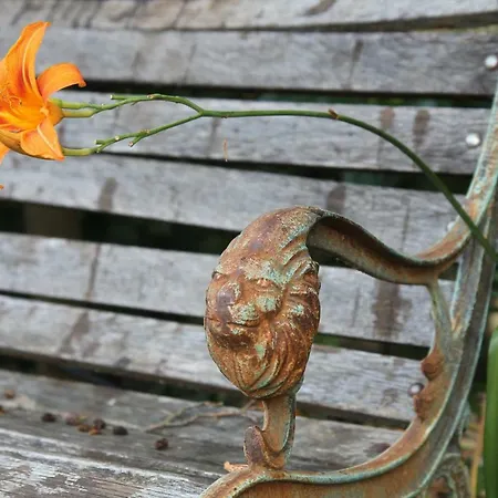 Oda ve Kahvaltı Brojo Hill