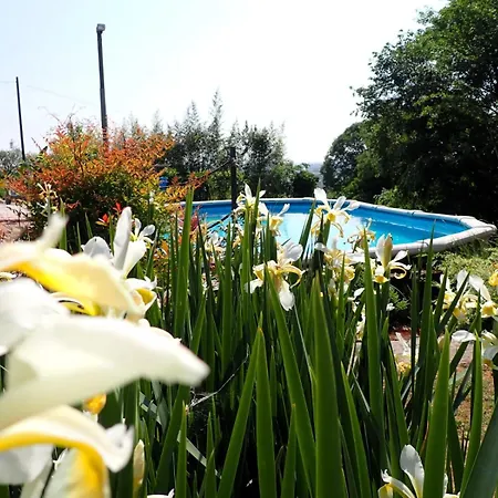 Brojo Hill Bed and Breakfast