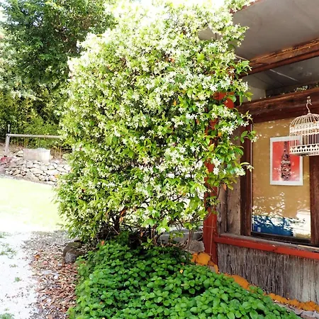 Bed and Breakfast Brojo Hill 4*