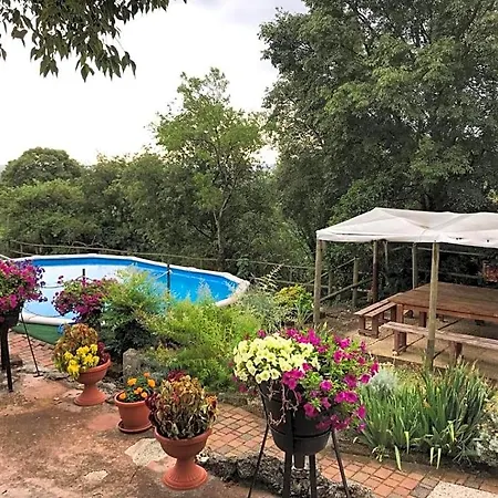 Brojo Hill Bed & Breakfast Longare